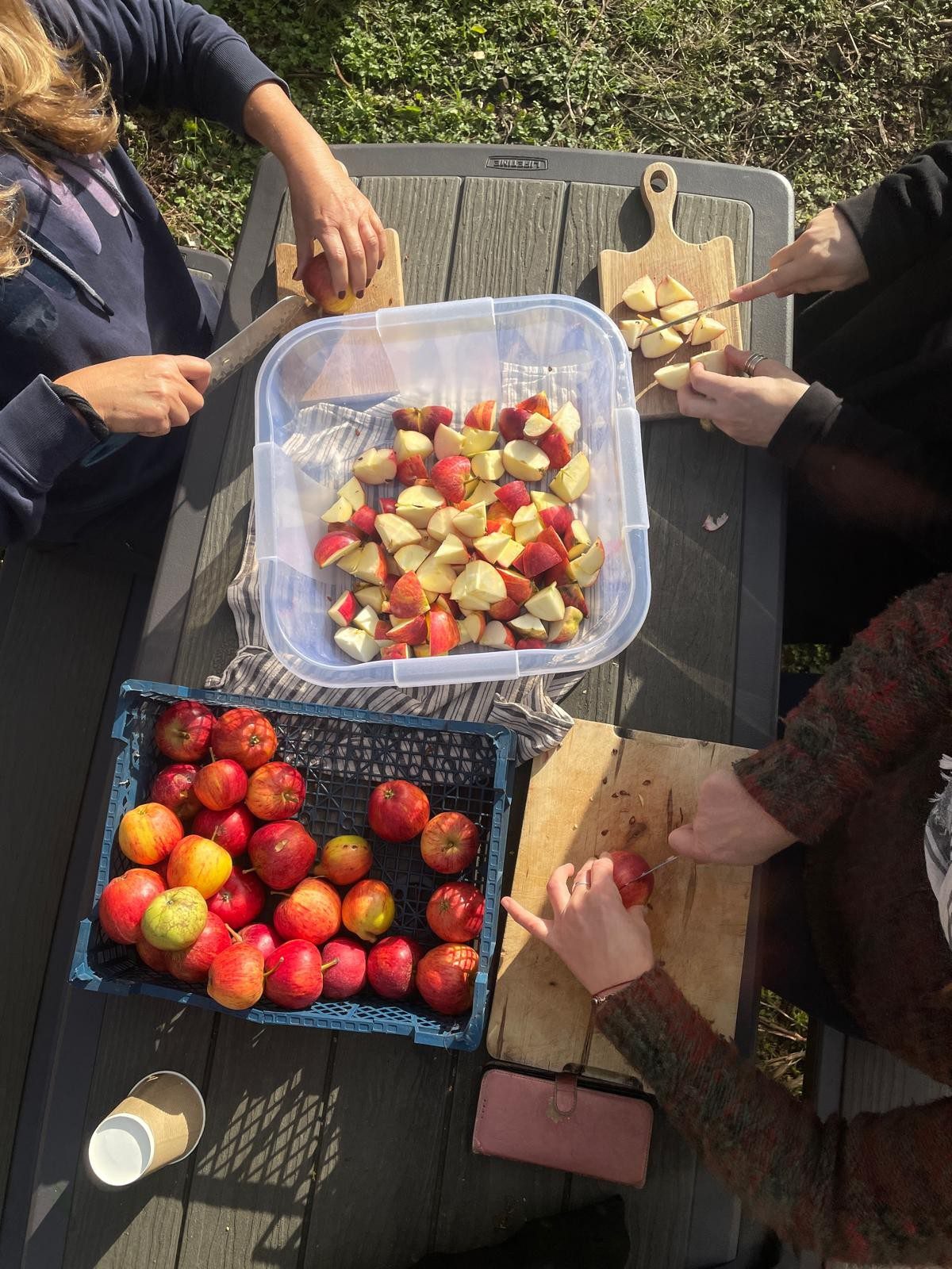 People preparing apples