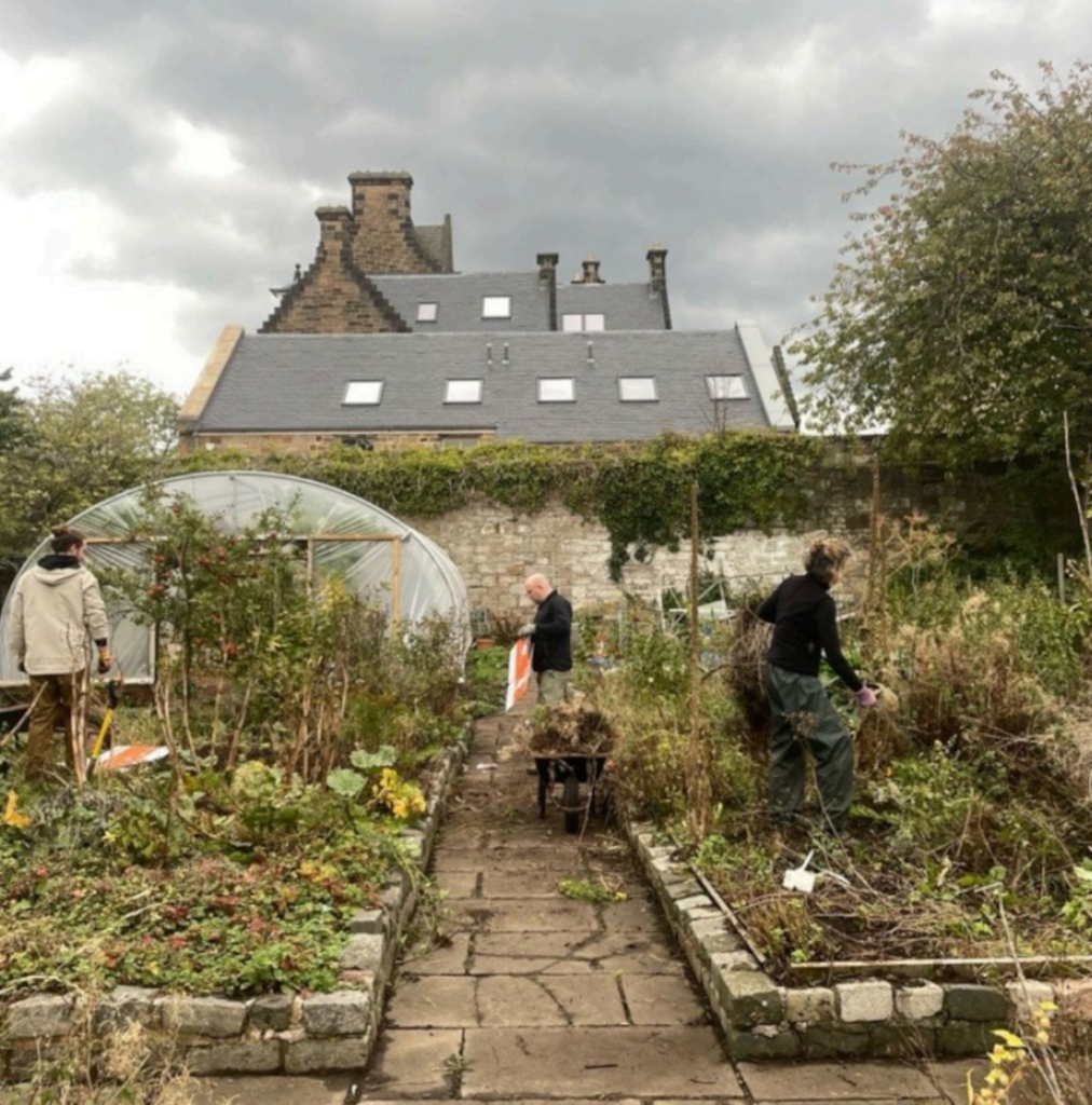 An outside shot of the farm gardens