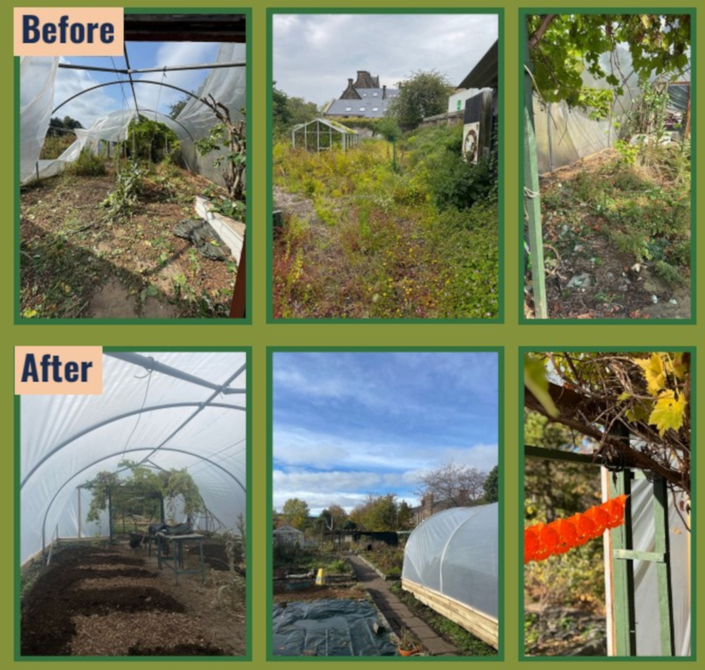A before and after shot of the Gorgie Community Farm gardens