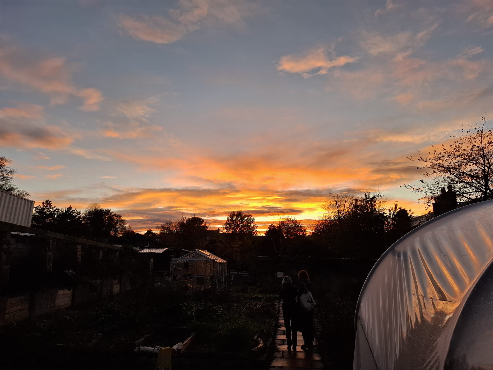 A sunset over the grounds of Gorgie Community Farm